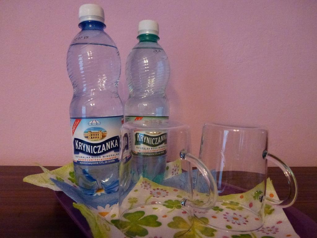 Pokoje Goscinne Vida Крыница-Здруй Номер фото